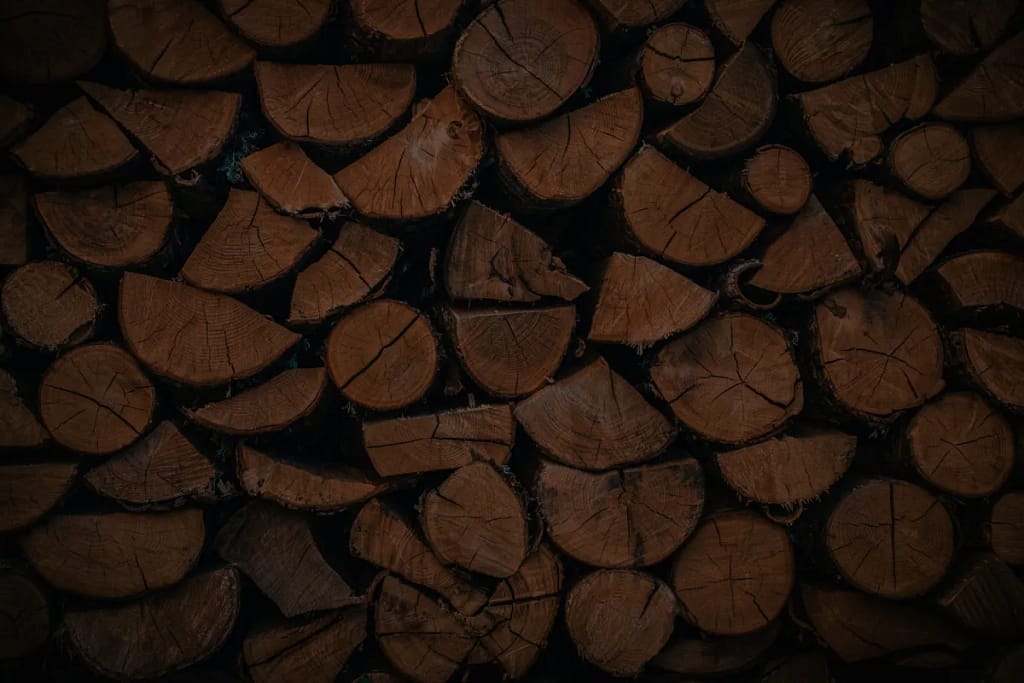 Kiln dried logs firewood devon