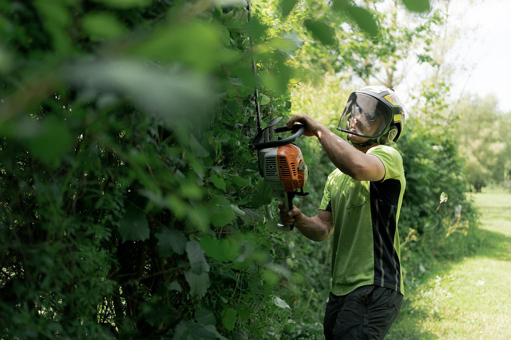 Garden Care Exeter & Devon | Hedge Trimming & Clearance | Moorland Tree ...