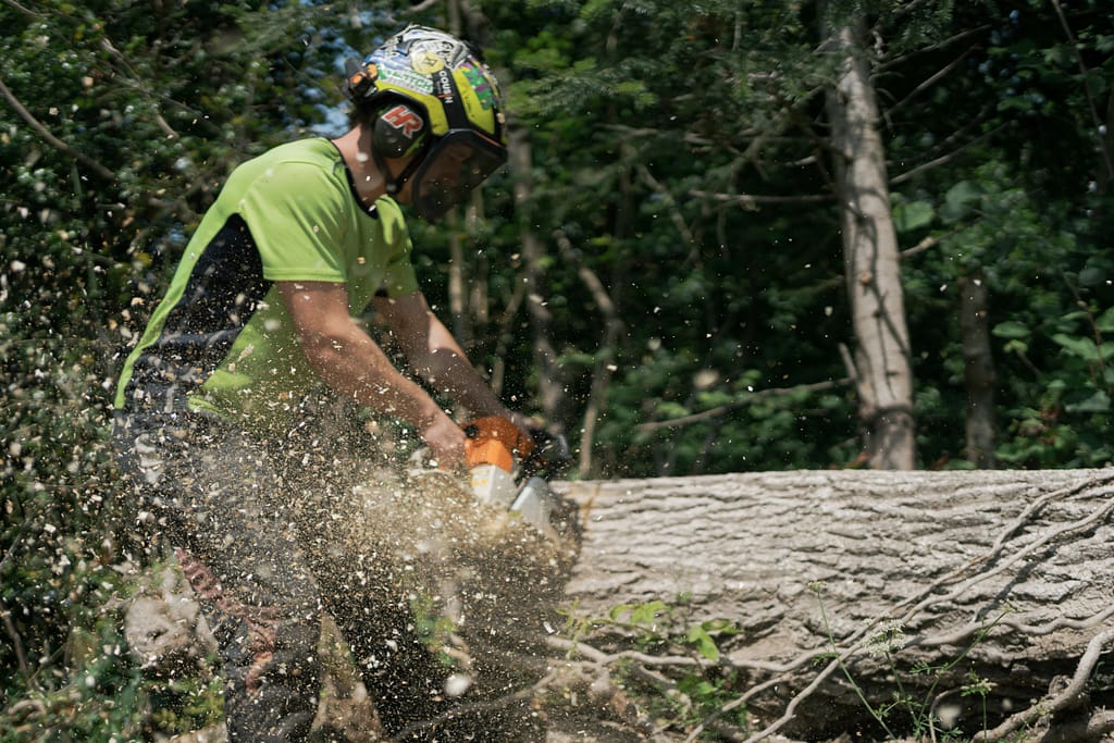 Tree surgeon chainsaw devon