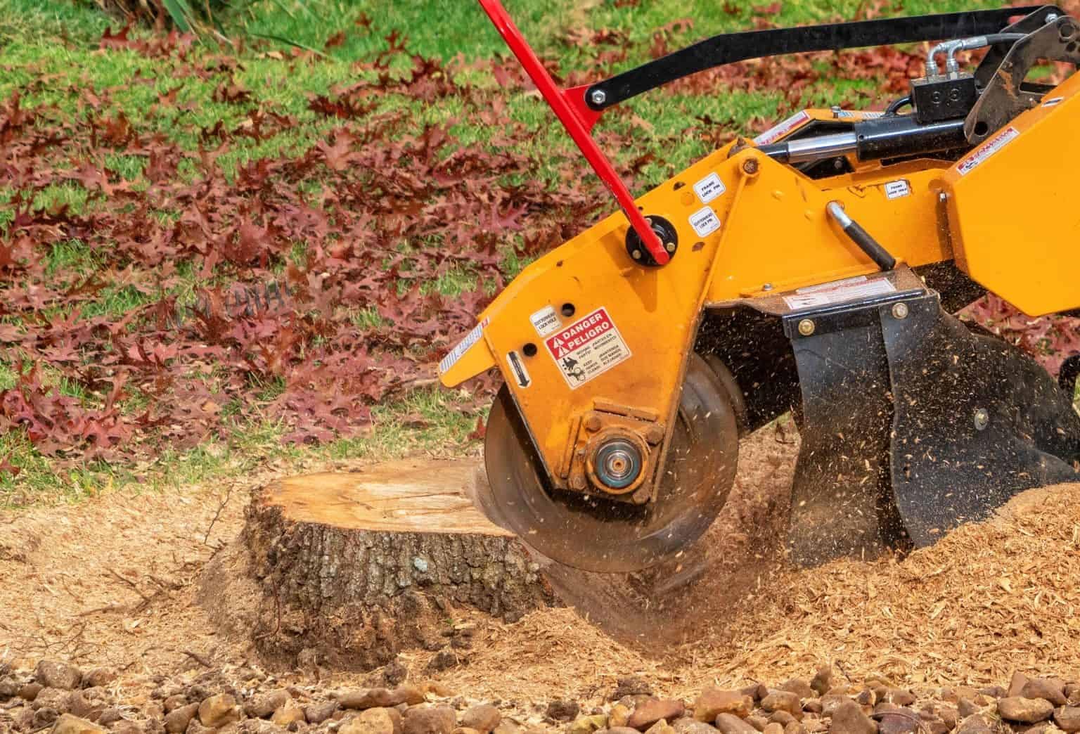 Stump grinding devon