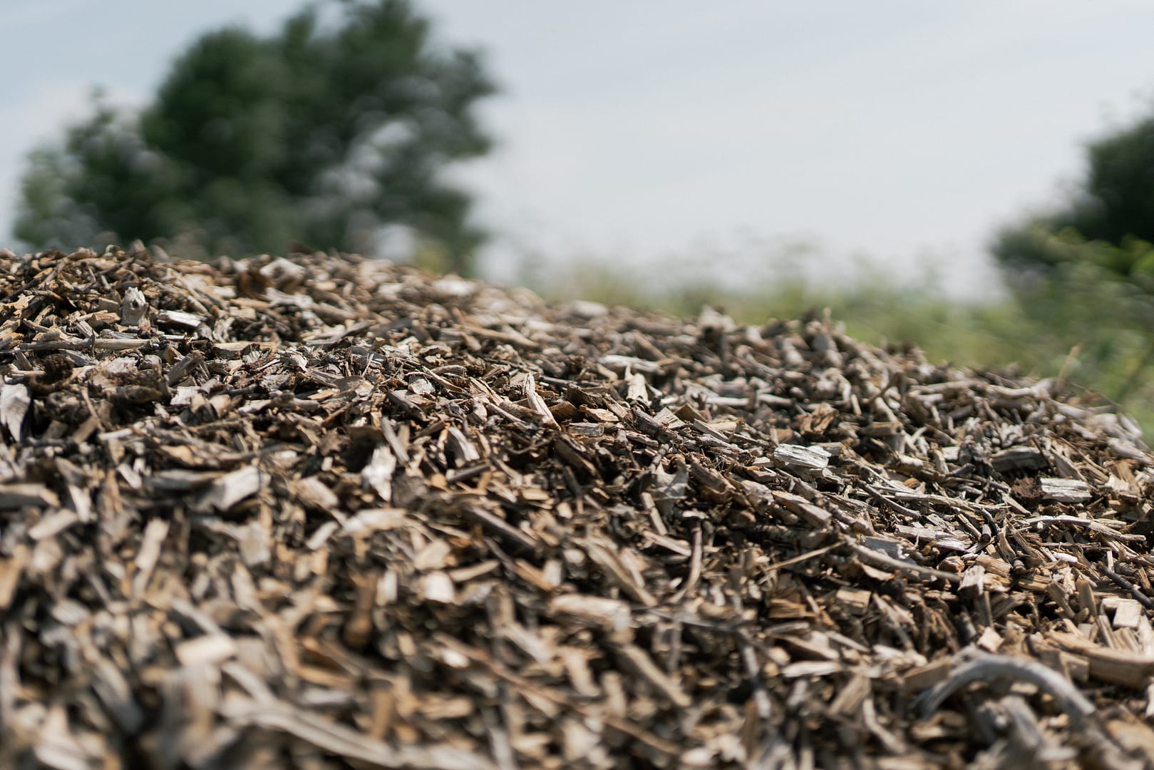 Aged mulch woodchip devon