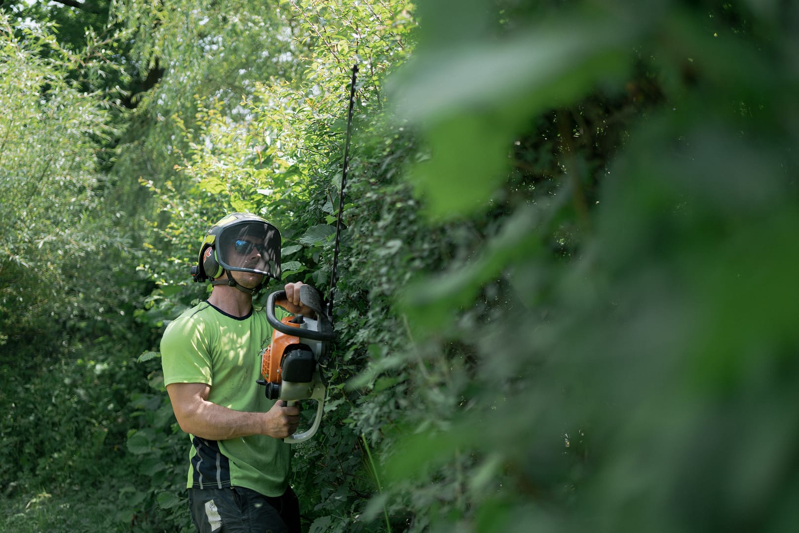 Hedge trimming devon
