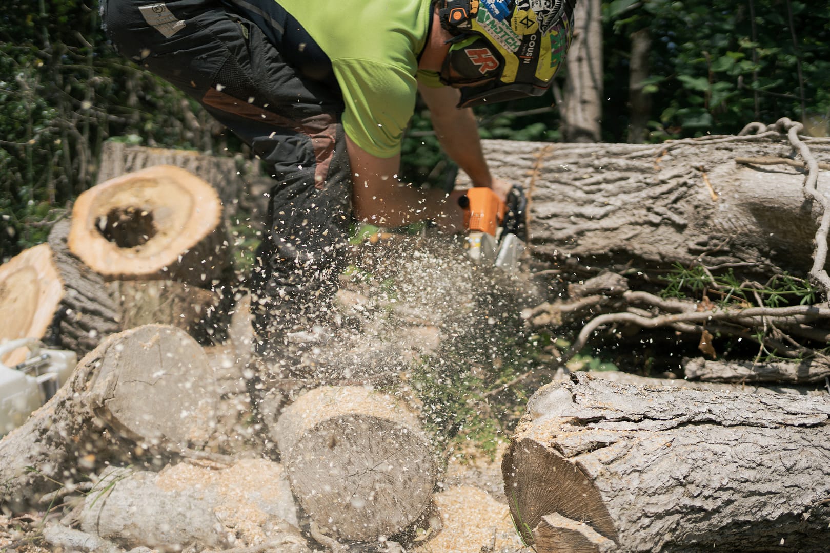 Tree bucking devon