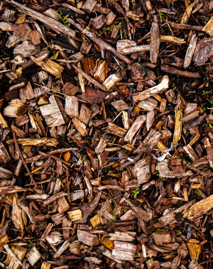 Fresh mulch woodchip devon
